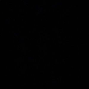 Meet your Posher, Lilly